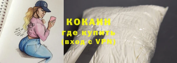 винт Абаза
