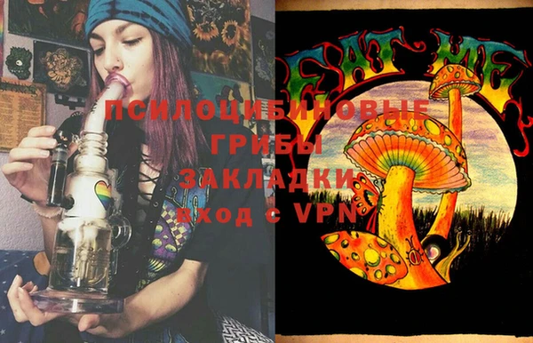 винт Абаза